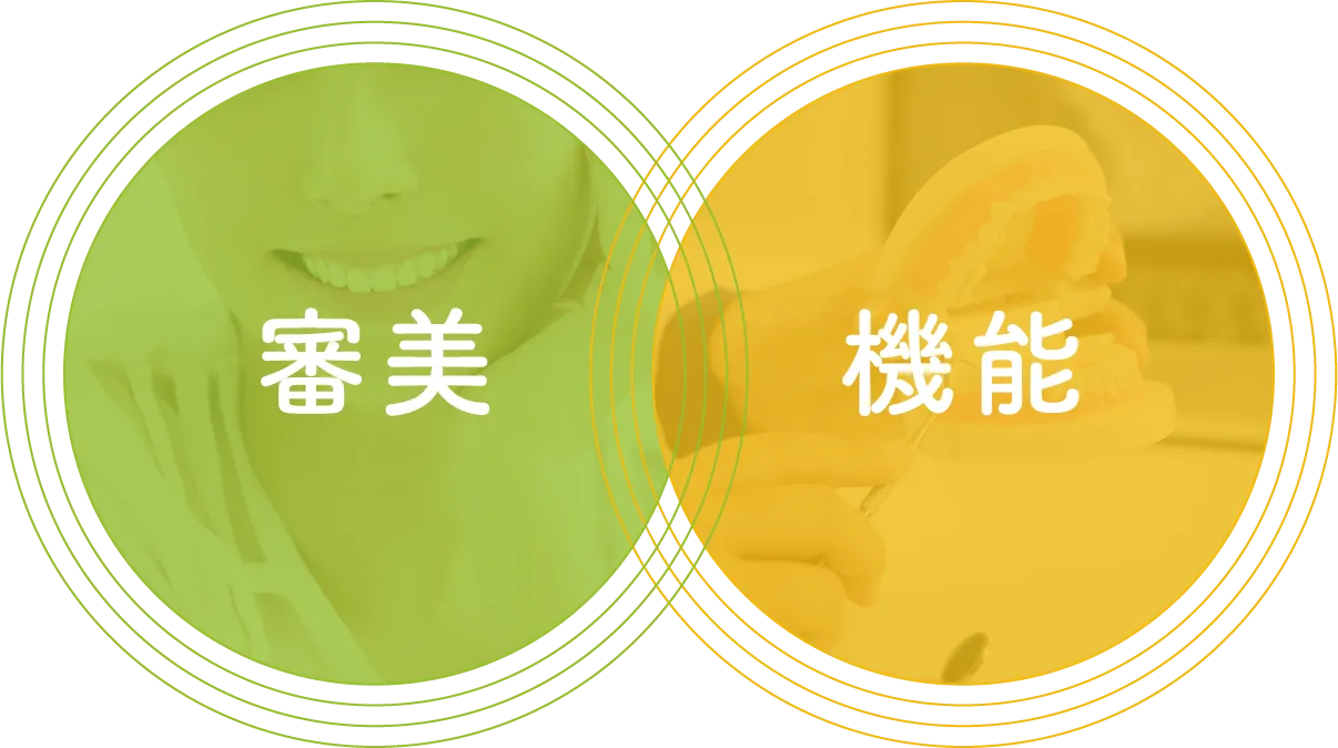 審美 機能